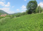 IMG_9065